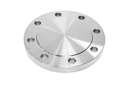 SS 317L Reducing Flanges